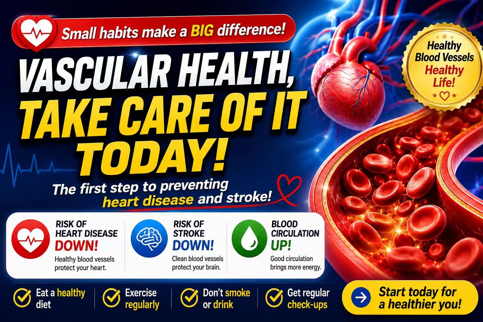 🩸A Guide to Vascular Health for Young Adults — How to Turn the Blood Flowing Through Your Body into a “Superhero”!